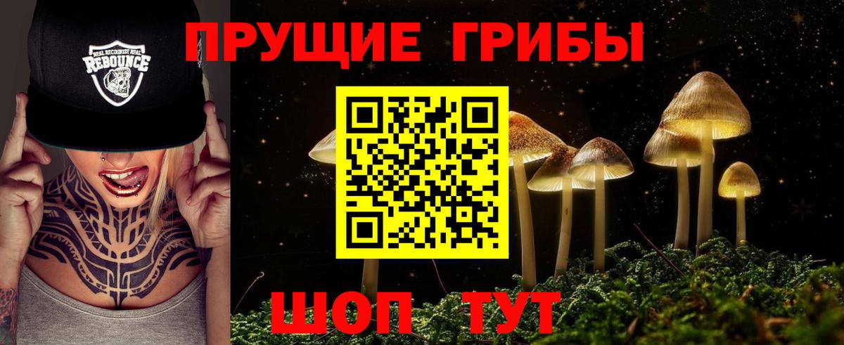 Псилоцибиновые грибы MAGIC MUSHROOMS Кандалакша