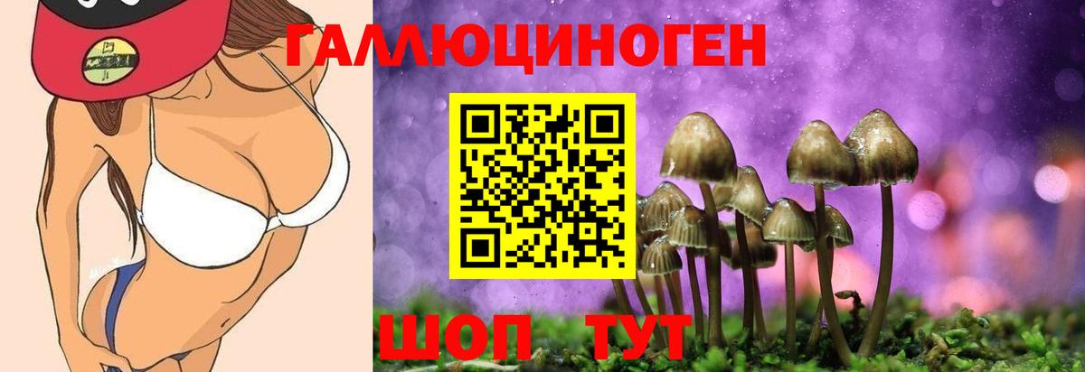Псилоцибиновые грибы GOLDEN TEACHER  цены   Кандалакша  Вход с VPN 